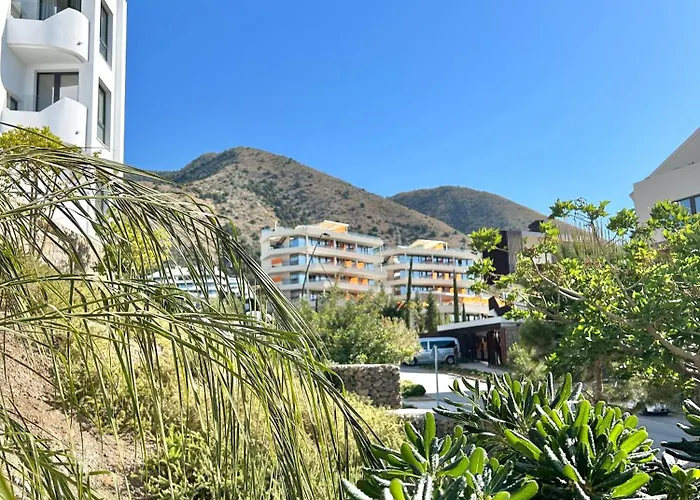 Modern Pedro, Higueron Reserve